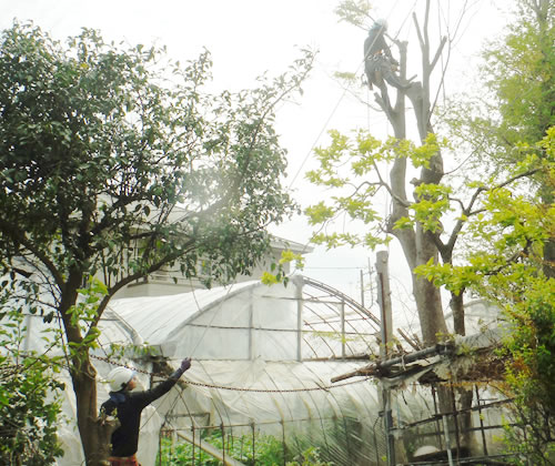 作業と料金のイメージ