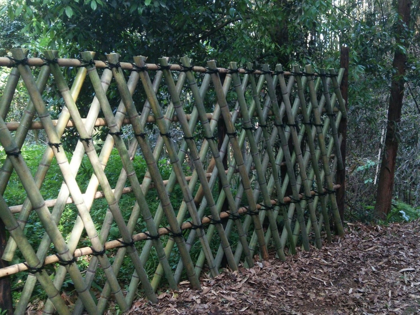 防草シート施工の様子