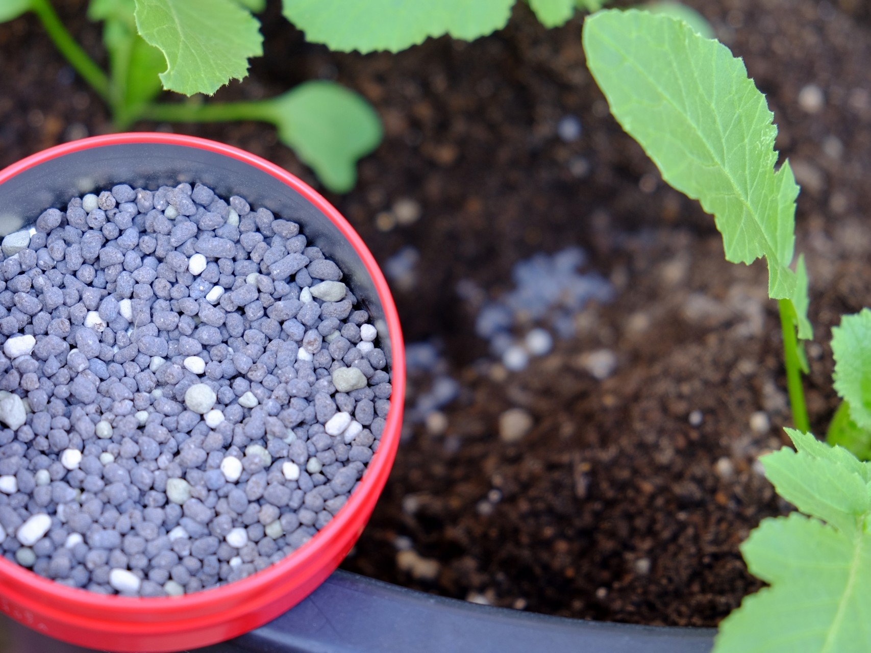 施肥のイメージ